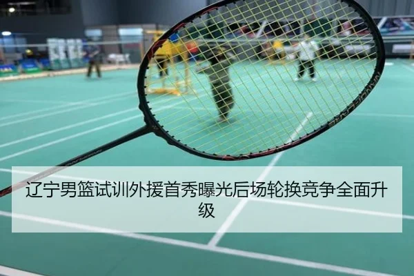 辽宁男篮试训外援首秀曝光后场轮换竞争全面升级