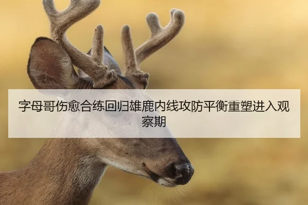 字母哥伤愈合练回归雄鹿内线攻防平衡重塑进入观察期